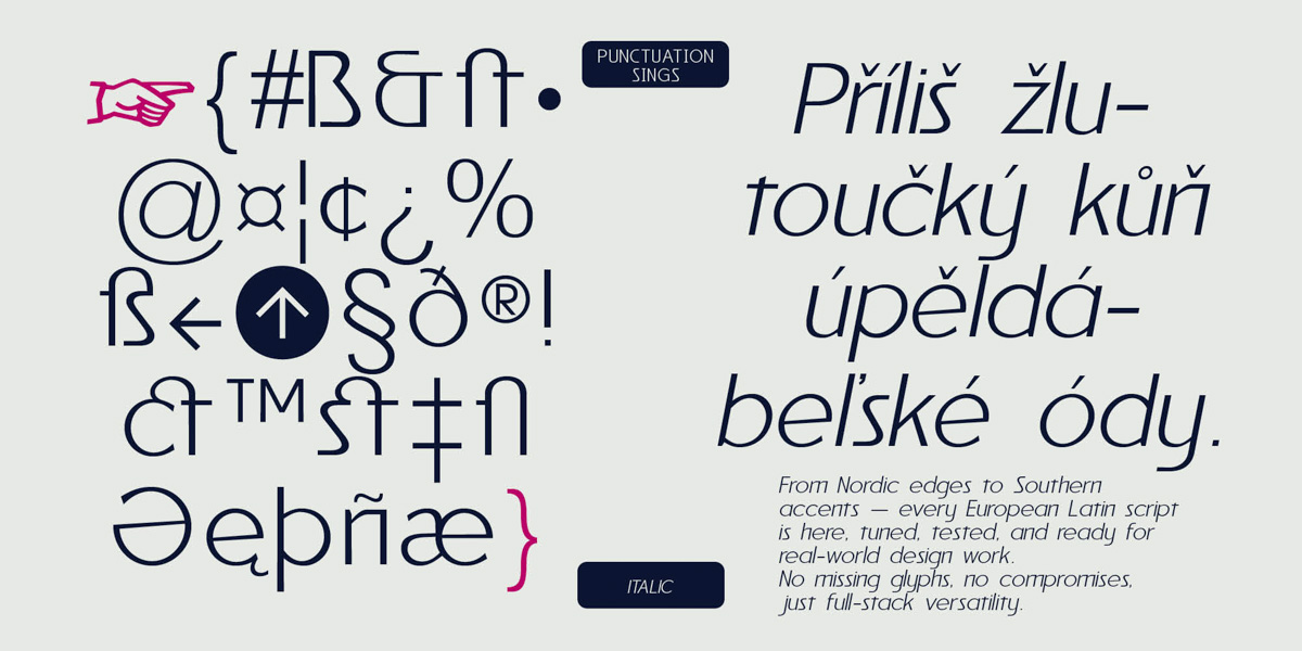 2026-01-22_69720dc063682_Reiner_Neue_Specimen_myfonts_2000x1000px4 2026-01-22_69720dc063682_Reiner_Neue_Specimen_myfonts_2000x1000px4