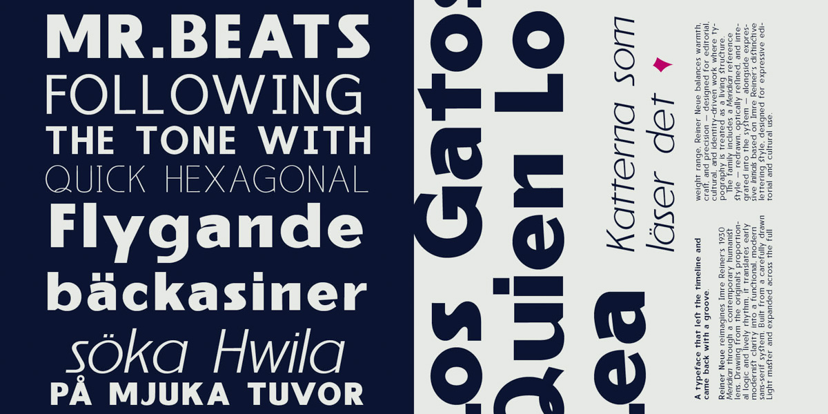 2026-01-22_69720dc0636d5_Reiner_Neue_Specimen_myfonts_2000x1000px5 2026-01-22_69720dc0636d5_Reiner_Neue_Specimen_myfonts_2000x1000px5