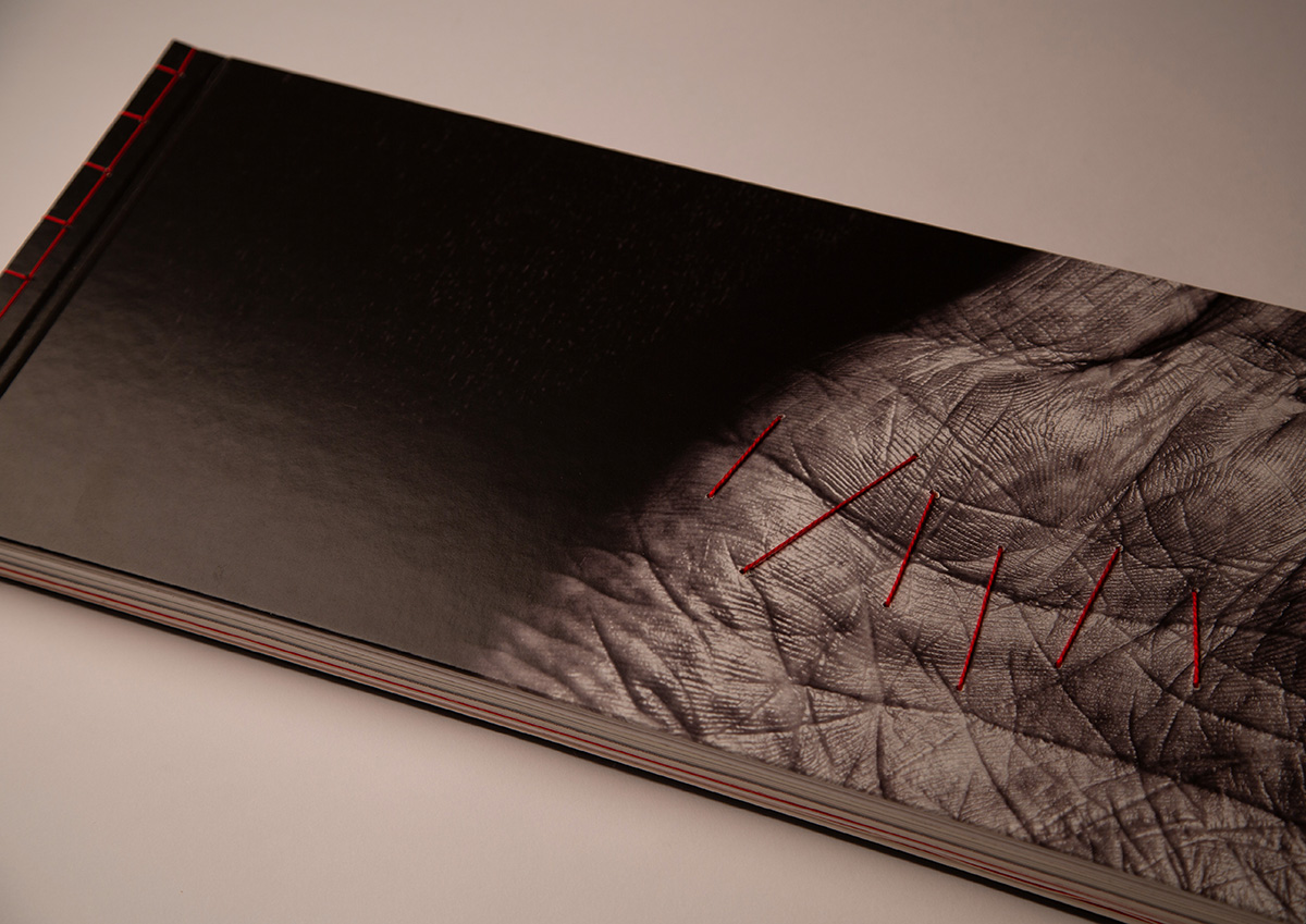 2026-01-25_697687c8e70c6_SlantedPhotography-02 2026-01-25_697687c8e70c6_SlantedPhotography-02