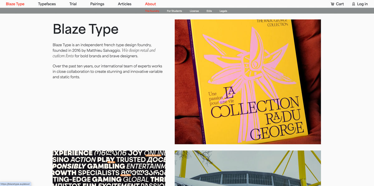 Blaze-Type-3_13 Blaze-Type-3_13