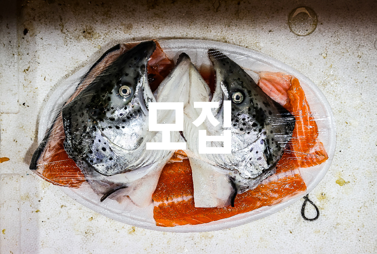 slanted-c4e-seol-02 slanted-c4e-seol-02