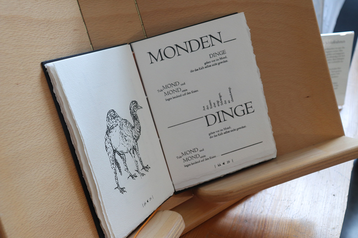 Mein-Morgenstern_3 Mein-Morgenstern_3