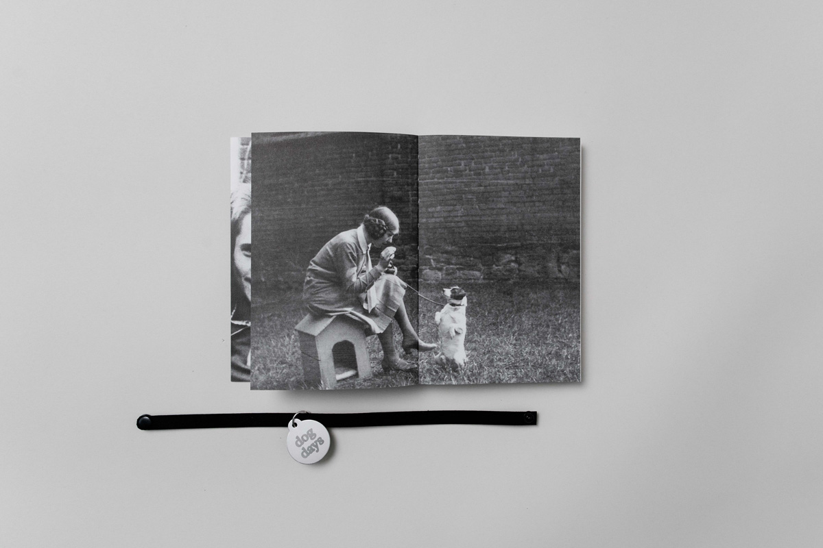 dog-days-shift-books_19