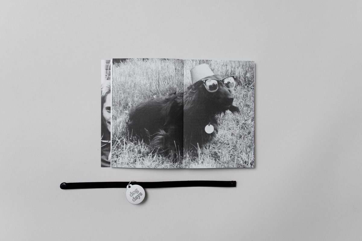 dog-days-shift-books_38