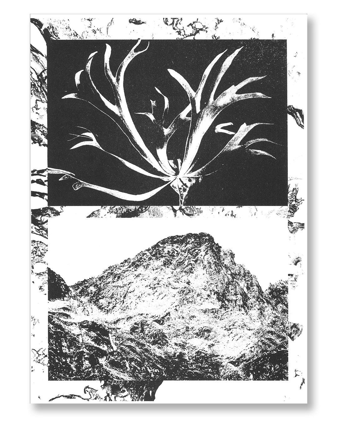 mountain_knaub_01