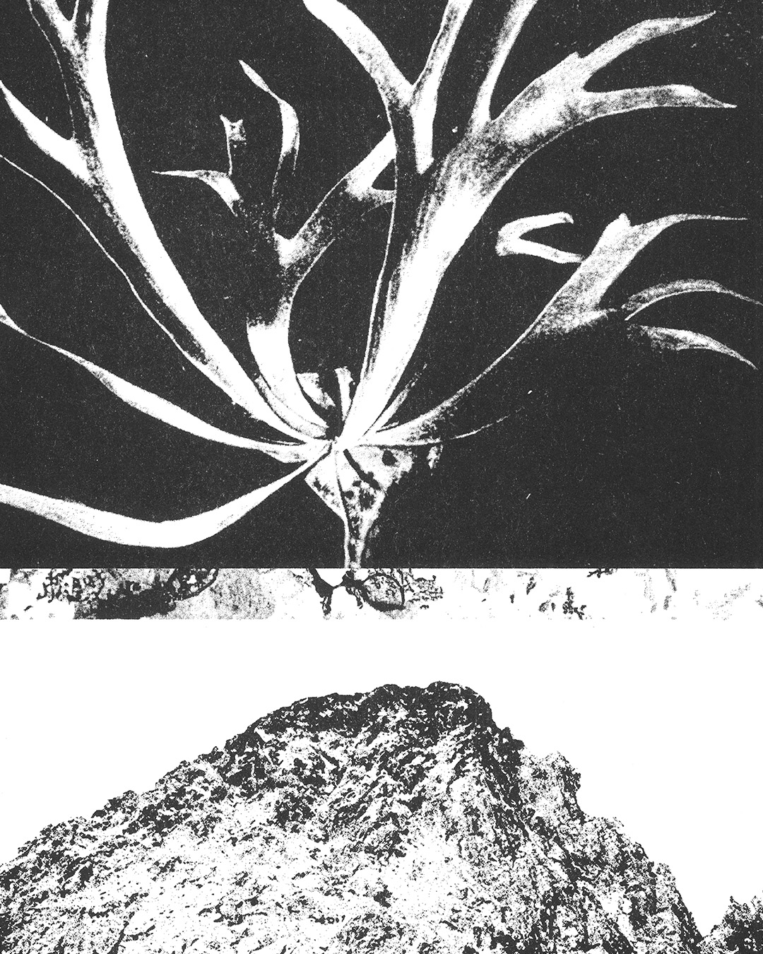 mountain_knaub_02