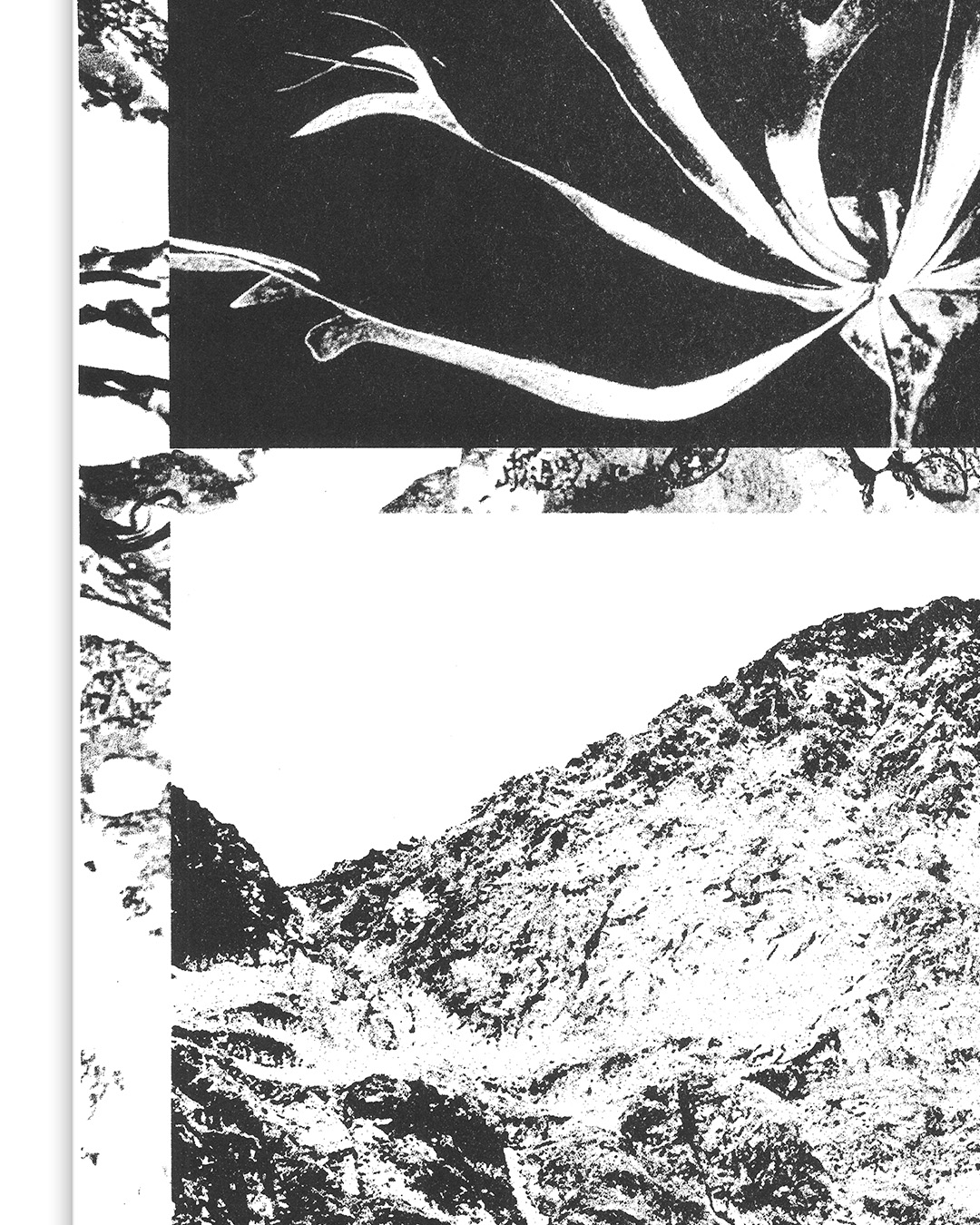 mountain_knaub_03