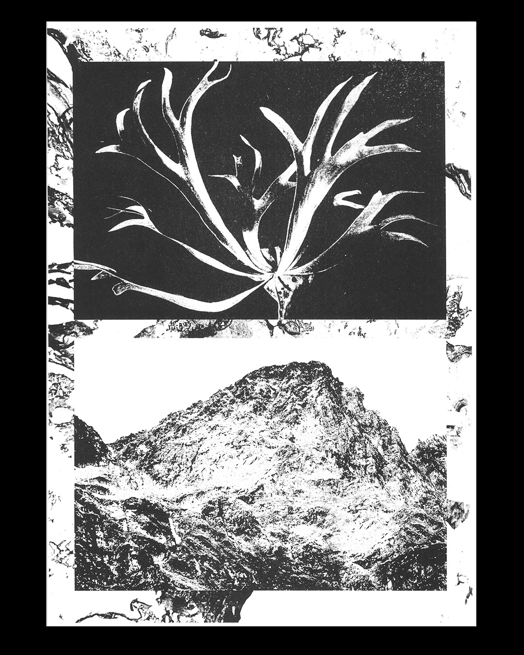 mountain_knaub_04