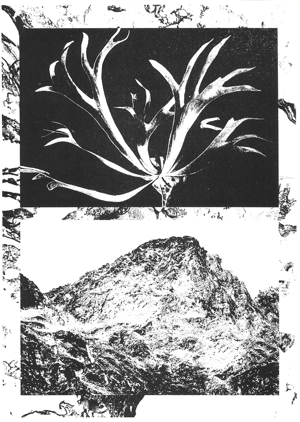 »Mountains«